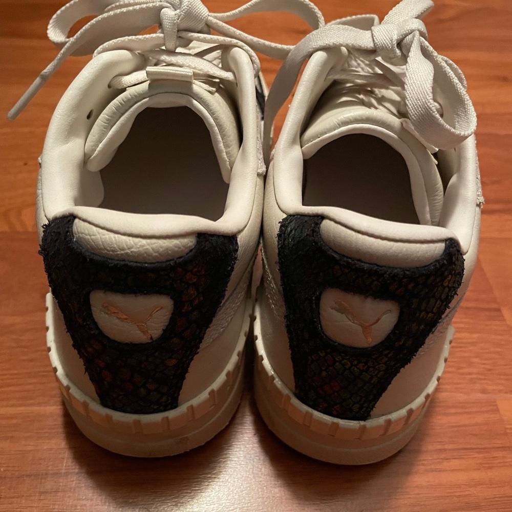 Pumas Platform - image 4